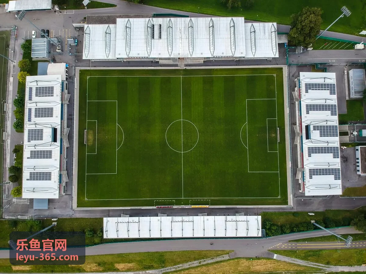 乐鱼实时分析
